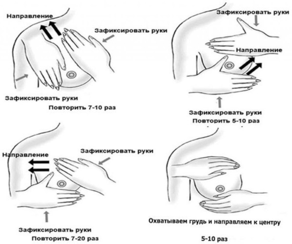 Массаж при лактостазе у кормящих мам. Как делать расцеживание молочных желез