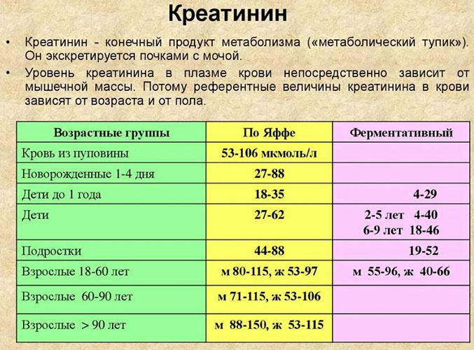 Окклюзия сосудов, артерий нижних конечностей. Что это такое