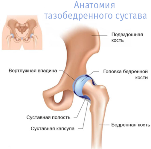 Рентген тазобедренных суставов. Подготовка у взрослых, детей