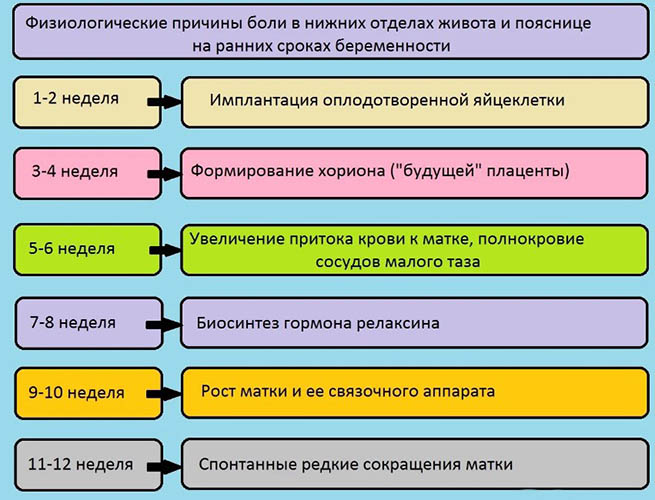 Жжение в животе внизу. Причины у женщин, мужчин