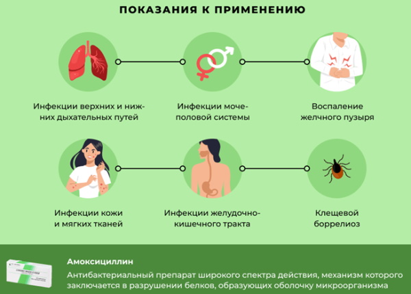 Амоксициллин или Азитромицин. Что лучше, разница, что эффективнее