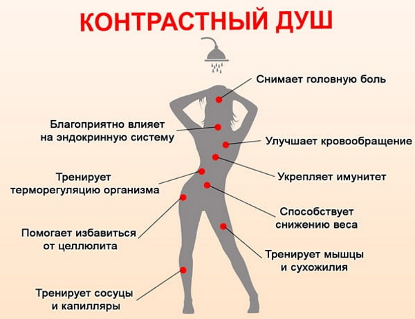 Профилактика гипертонической болезни