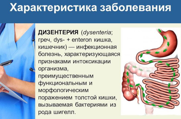 Прививка от дизентерии взрослым. Название, когда делается, сколько раз, побочные эффекты