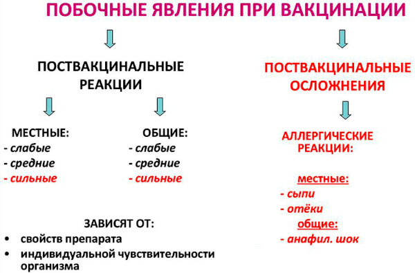 Прививка от дизентерии взрослым. Название, когда делается, сколько раз, побочные эффекты