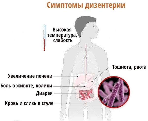 Прививка от дизентерии взрослым. Название, когда делается, сколько раз, побочные эффекты