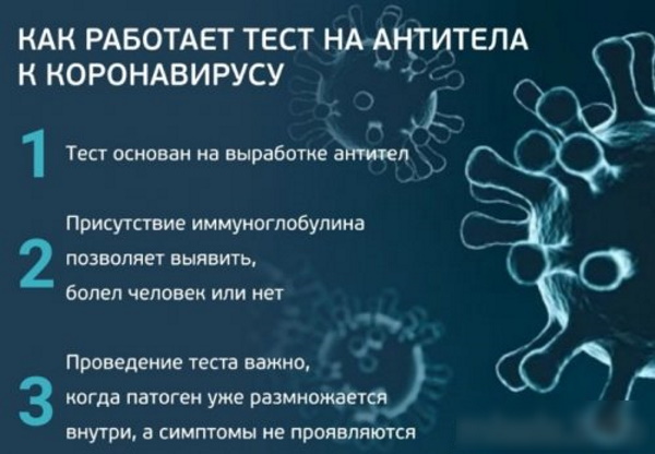 ПЦР тест на коронавирус (Ковид). Что это такое, цена, как делают