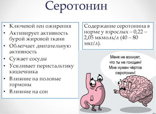 Серотонин. Что это за гормон, функции, как повысить уровень в организме