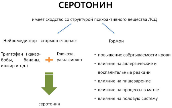 Серотонин. Что это за гормон, функции, как повысить уровень в организме