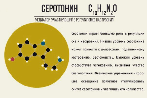 Серотонин. Что это за гормон, функции, как повысить уровень в организме