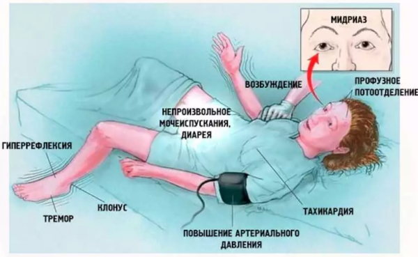 Серотонин. Что это за гормон, функции, как повысить уровень в организме