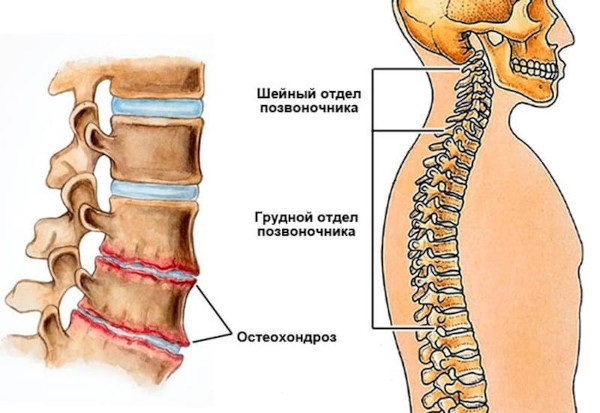 Виброакустическая терапия фонирование. Польза и вред, аппараты, отзывы