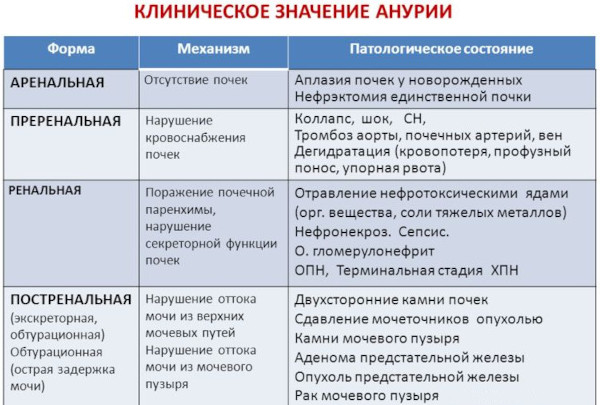 Дневник мочеиспускания. Образец на 3 дня, как вести, заполнять