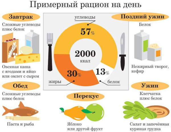 Энергия в организме человека: основные источники, виды, процессы дающие силы