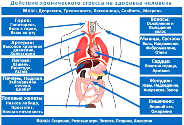 Как научиться не нервничать, не переживать, не волноваться