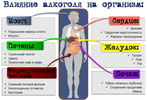 Как начать вести здоровый образ жизни, как поддерживать ЗОЖ