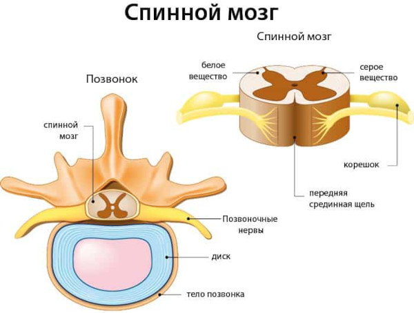 Подтекание мочи у мужчин после мочеиспускания. Причины и лечение