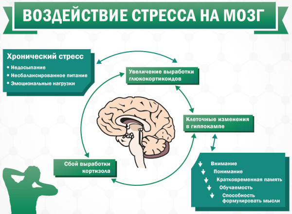 Стрессоустойчивость. Как повысить, развить, бороться со стрессом