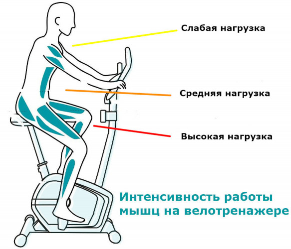 Упражнения при гипертонии, гимнастика, ЛФК. Показания, противопоказания