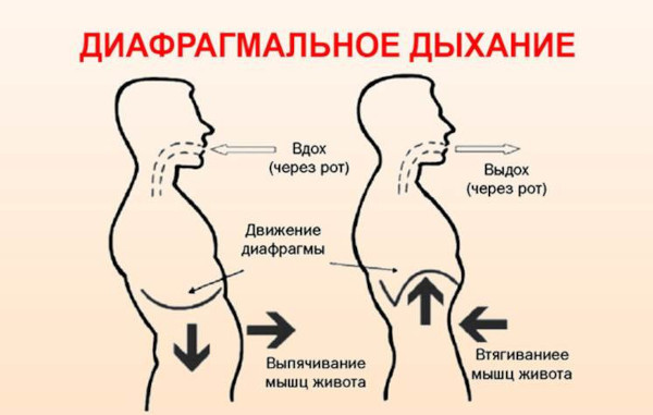 Упражнения при гипертонии, гимнастика, ЛФК. Показания, противопоказания