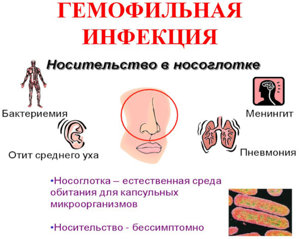 Вакцина от менингита для детей. Названия, отзывы, какая лучше