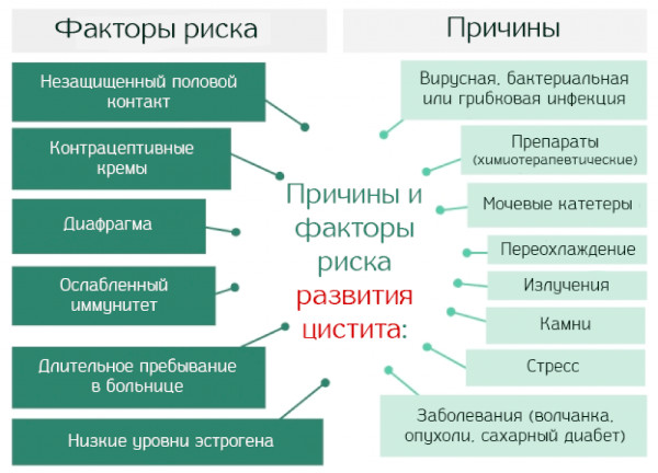 Боли в пояснице при цистите. Как, сколько болит у женщин, что делать