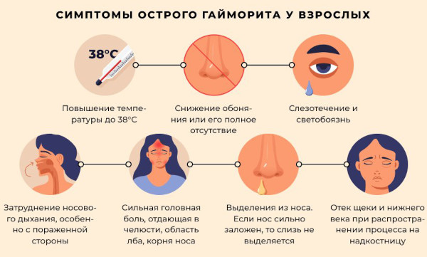 Cинусит и гайморит: разница воспаления носовых пазух, симптомы