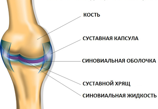 Диагностика остеоартроза: анализы, рентген, УЗИ, МРТ