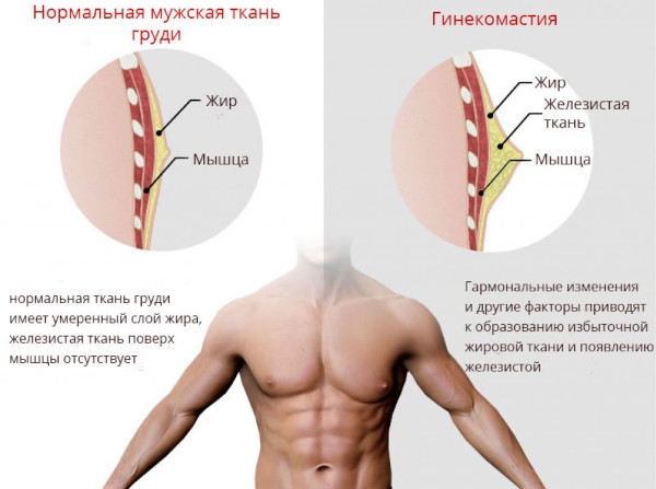 Эндокринология. Что это такое в медицине