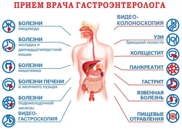 Гастроэнтерология. Что это в медицине, что лечит, заболевания