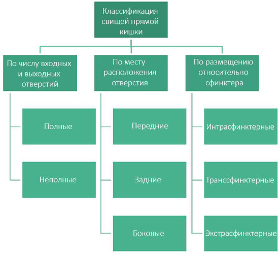 Интрасфинктерный свищ после парапроктита. Операция по удалению