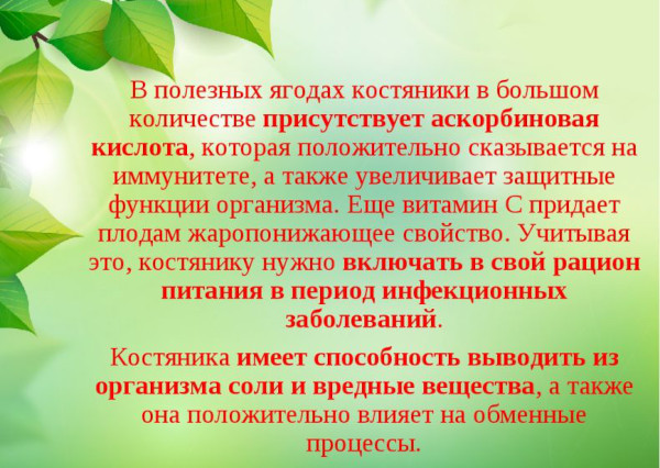 Лечение кожных заболеваний: препараты, мази-антибиотики, народные средства