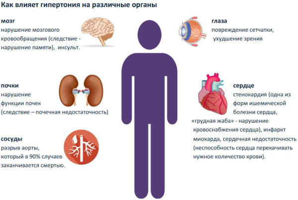 Органы мишени при гипертонической болезни артериальная гипертензия. Признаки поражения