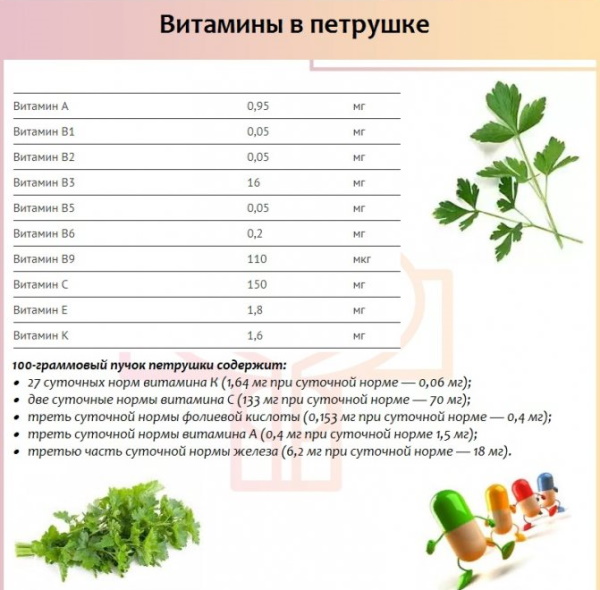 Петрушка от цистита у женщин, мужчин. Отвар из корня, свежая, семена