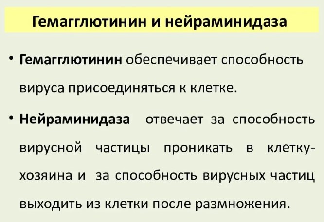 Противовирусные препараты от простуды, гриппа у детей для профилактики