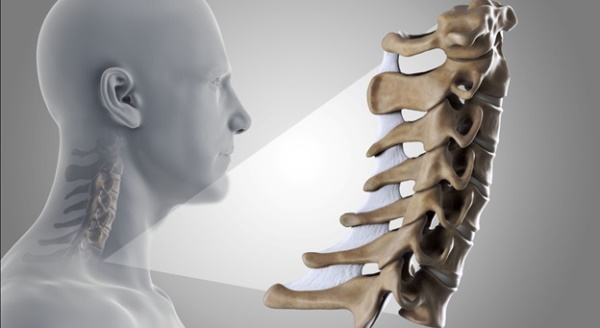 Шейный отдел позвоночника: шейные позвонки человека, строение, анатомия