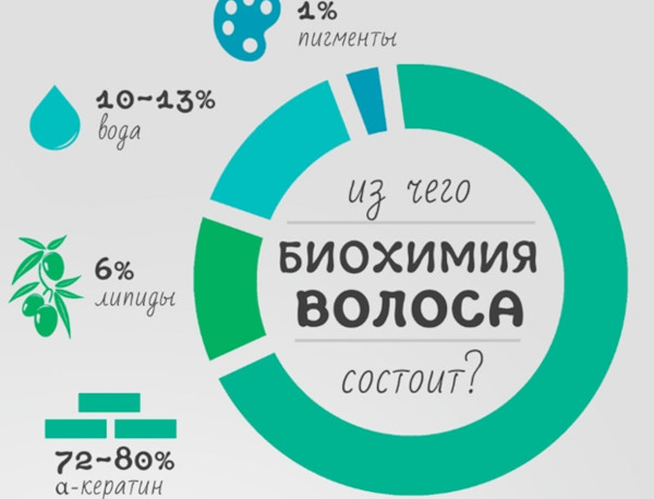 Строение волоса человека: структура стержня, корня, луковицы. Типы волос