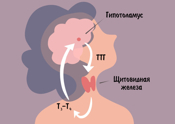 Цервикобрахиалгия. Что это такое вертеброгенная, справа, слева. Симптомы, лечение