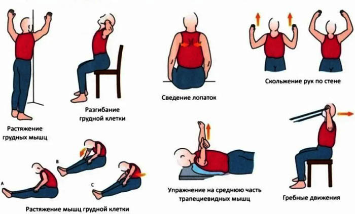 Упражнения при грудном остеохондрозе, грудного отдела позвоночника