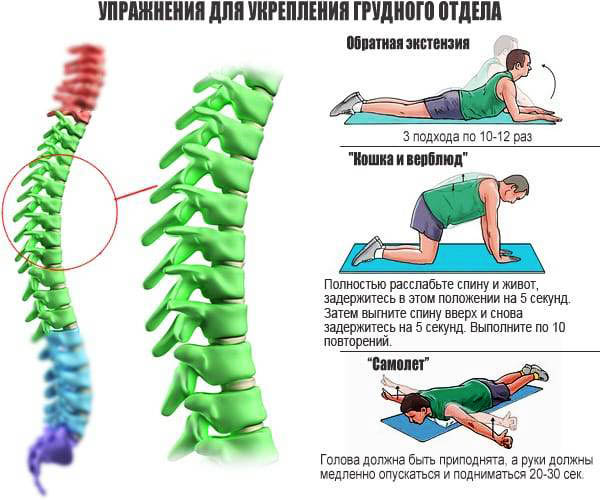 Упражнения при грудном остеохондрозе, грудного отдела позвоночника