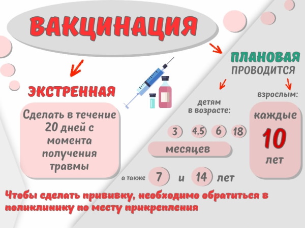 Что делать, если укусила собака домашняя, бешеная