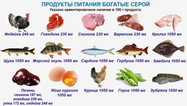 Диета при артрозе коленного сустава. Меню на неделю, продукты