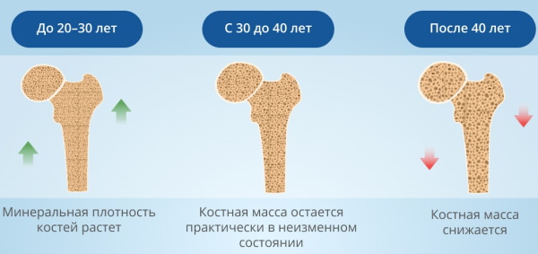 Питание при остеопорозе. Диета, продукты, лечение народными средствами