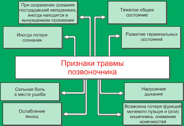 Травмы позвоночника. Первая помощь, классификация, симптомы