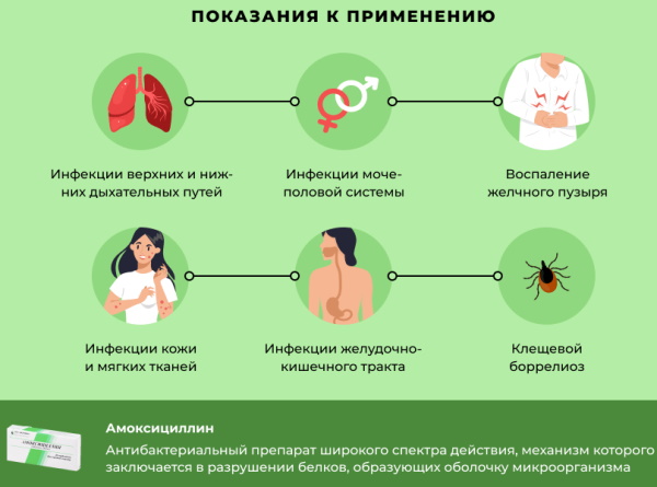 Амоксициллин при цистите у женщин. Схема лечения, дозировка