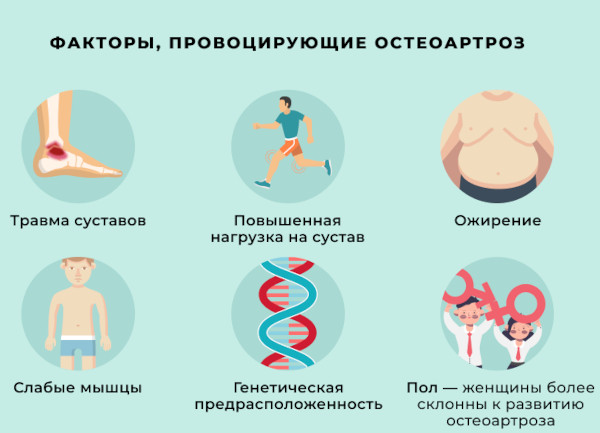 Артроз и остеоартроз. Чем отличается, разница