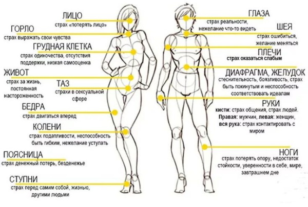 Боль в пояснице. Психосоматика по Луизе Хей у женщин, мужчин