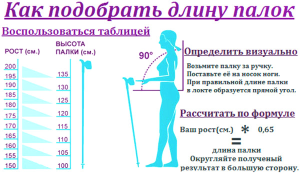 Ходьба при грыже поясничного отдела позвоночника. Полезно ли ходить