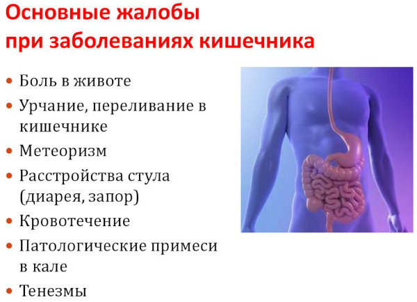 Проктологические заболевания. Список, симптомы, лечение