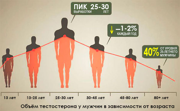 Тестостерон общий и свободный: в чем разница, какой сдавать