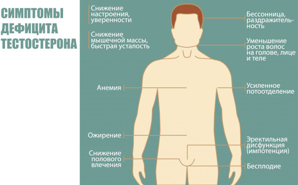 Тестостерон общий и свободный: в чем разница, какой сдавать